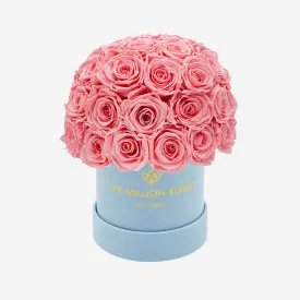 Basic Light Blue Suede Superdome Box | Light Pink Roses