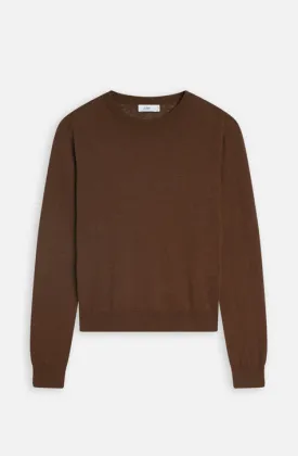 Brazil Nut Long Sleeve Crew knit