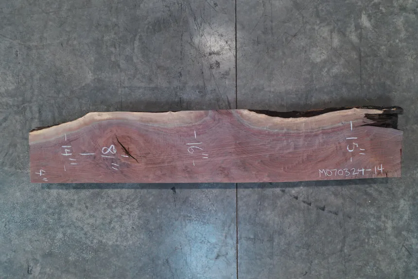 Oregon Black Walnut Mantle M070324-14