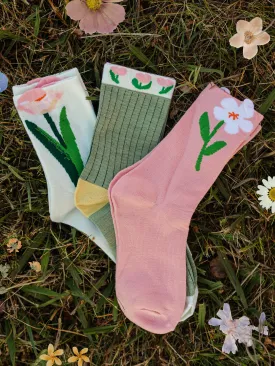 Tulip Sock Bundle